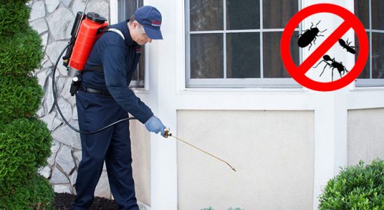Kırklareli Karınca İlaçlama böcek ilaçlama ve haşere kontrolü — ilaclama-tr.com